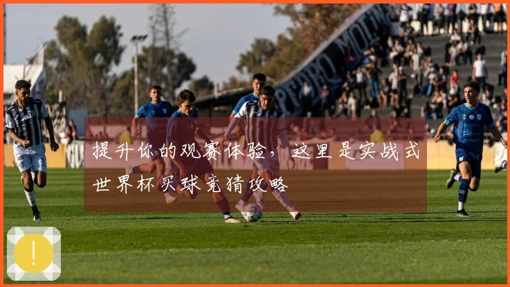 提升你的观赛体验，这里是实战式世界杯买球竞猜攻略