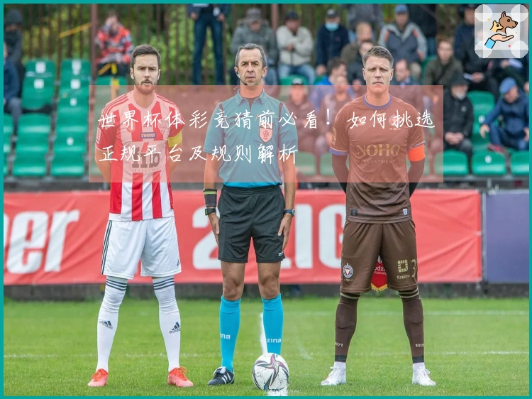 世界杯体彩竞猜前必看！如何挑选正规平台及规则解析