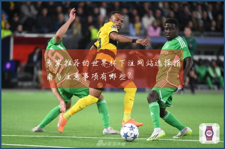 专家推荐的世界杯下注网站选择指南与注意事项有哪些？