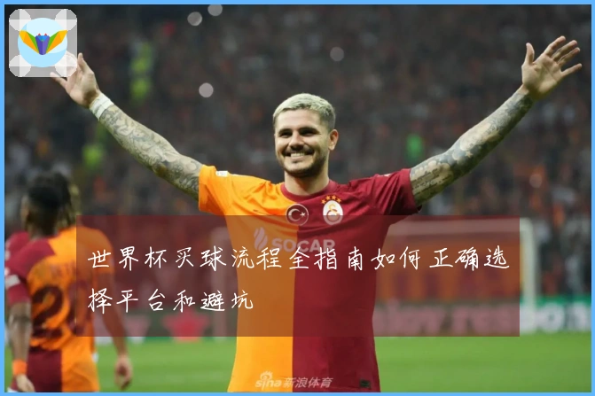 世界杯买球流程全指南如何正确选择平台和避坑
