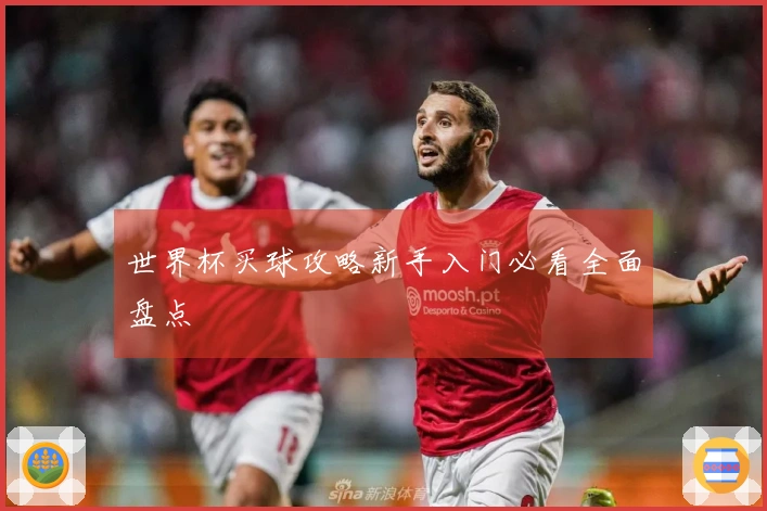 世界杯买球攻略新手入门必看全面盘点