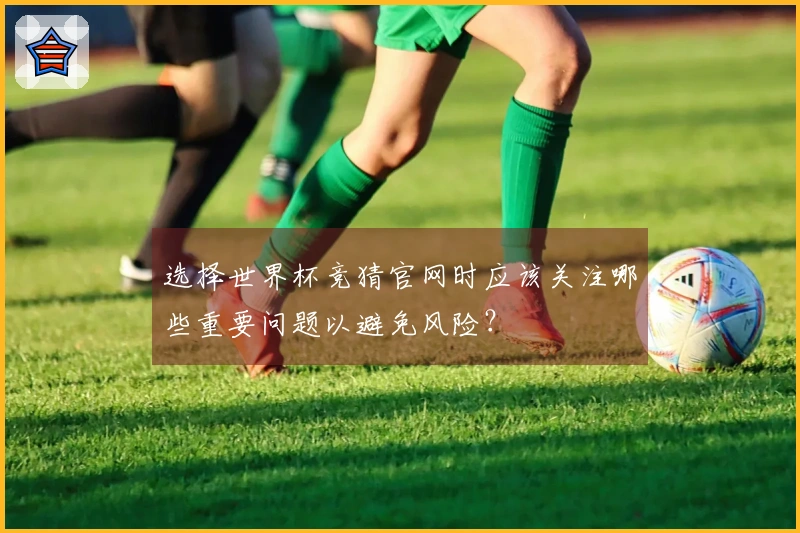 选择世界杯竞猜官网时应该关注哪些重要问题以避免风险？