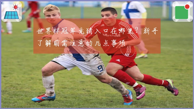 世界杯冠军竞猜入口在哪里？新手了解前需注意的几点事项