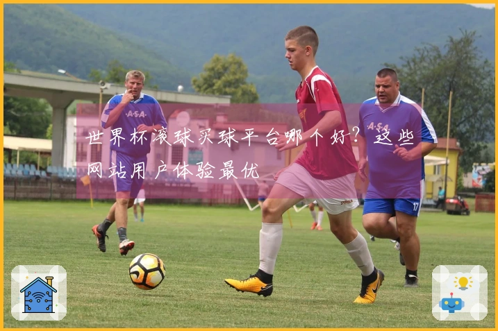 世界杯滚球买球平台哪个好？这些网站用户体验最优