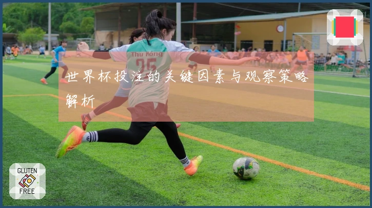 世界杯投注的关键因素与观察策略解析