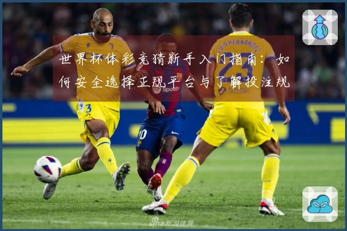 世界杯体彩竞猜新手入门指南：如何安全选择正规平台与了解投注规则