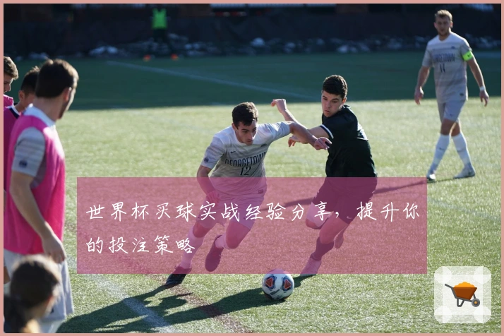世界杯买球实战经验分享，提升你的投注策略