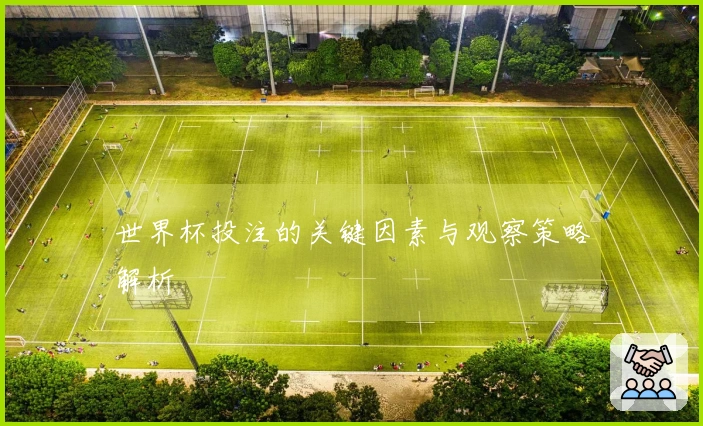 世界杯投注的关键因素与观察策略解析