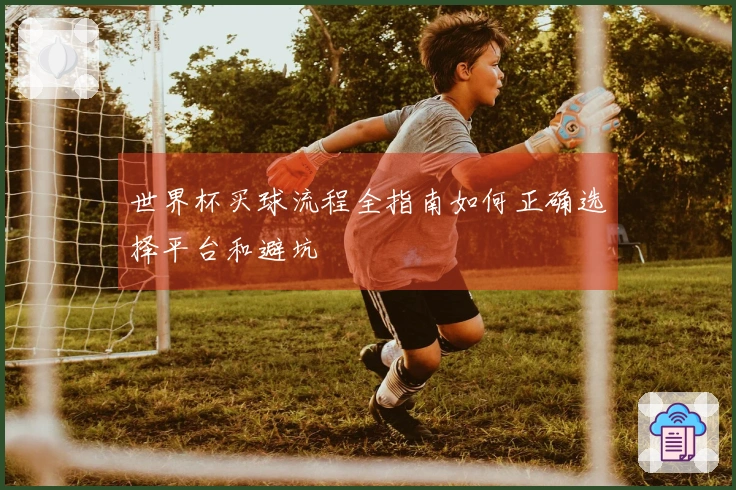 世界杯买球流程全指南如何正确选择平台和避坑