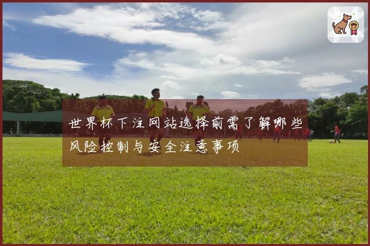 世界杯下注网站选择前需了解哪些风险控制与安全注意事项