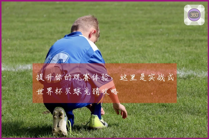 提升你的观赛体验，这里是实战式世界杯买球竞猜攻略