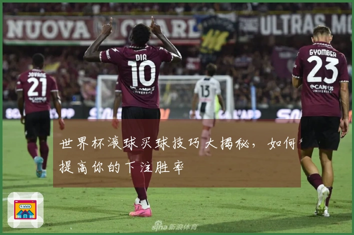 世界杯滚球买球技巧大揭秘，如何提高你的下注胜率