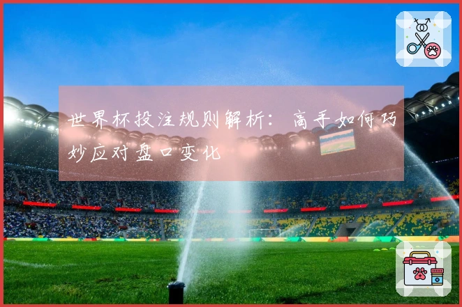 世界杯投注规则解析：高手如何巧妙应对盘口变化