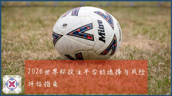 2026世界杯投注平台的选择与风险评估指南