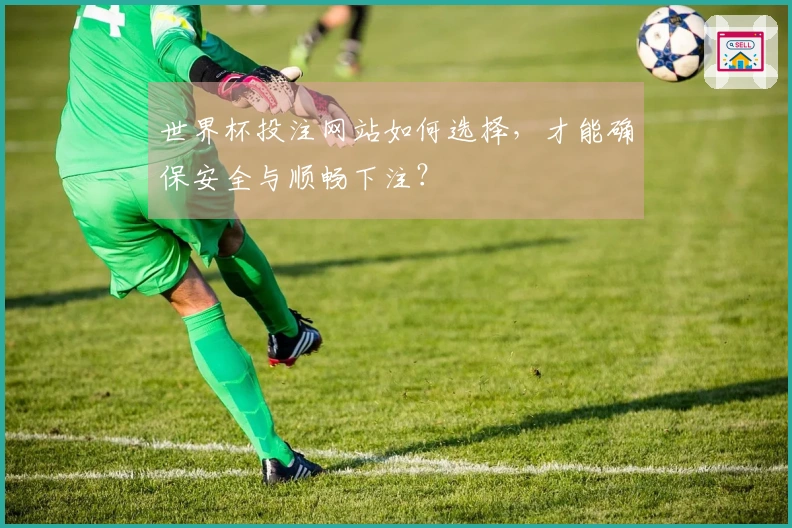 世界杯投注网站如何选择，才能确保安全与顺畅下注？
