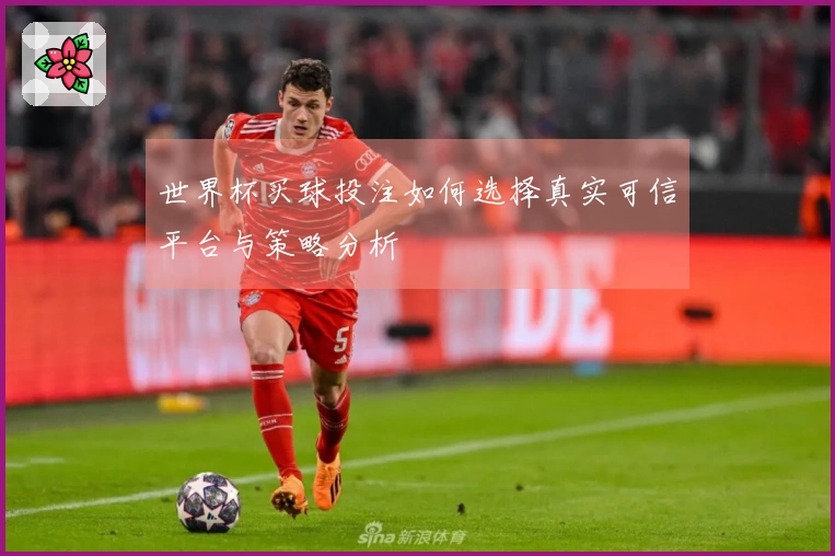 世界杯买球投注如何选择真实可信平台与策略分析
