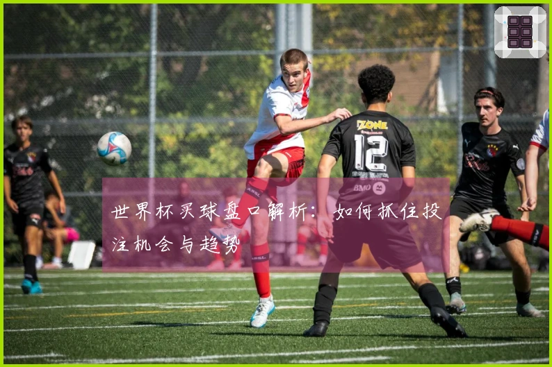 世界杯买球盘口解析：如何抓住投注机会与趋势