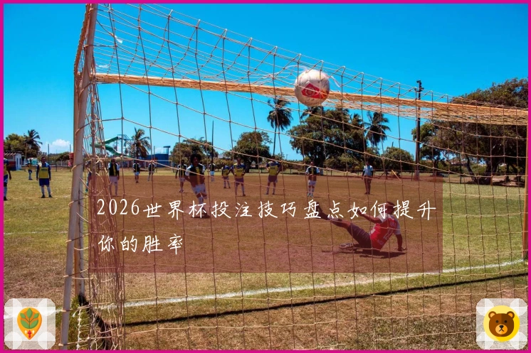 2026世界杯投注技巧盘点如何提升你的胜率
