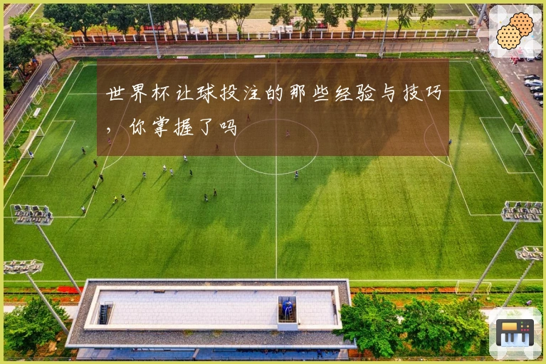 世界杯让球投注的那些经验与技巧，你掌握了吗