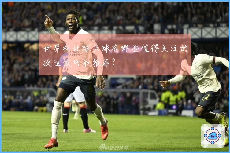 世界杯让球买球有哪些值得关注的投注技巧和推荐？