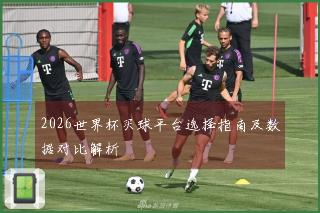 2026世界杯买球平台选择指南及数据对比解析