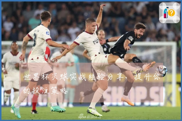 世界杯买球实战经验分享，提升你的投注策略