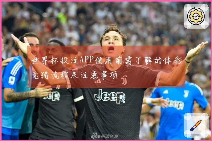 世界杯投注APP使用前需了解的体彩竞猜流程及注意事项