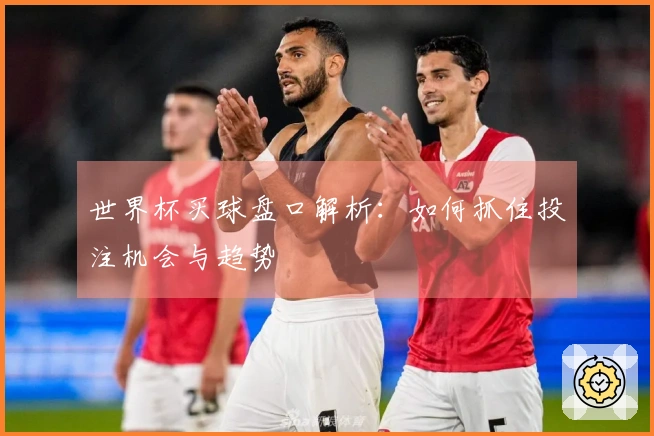 世界杯买球盘口解析：如何抓住投注机会与趋势