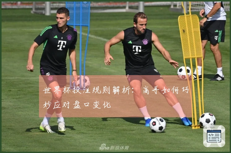 世界杯投注规则解析：高手如何巧妙应对盘口变化