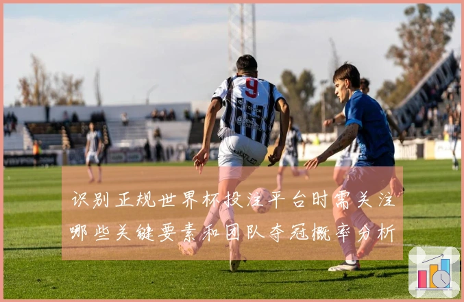 识别正规世界杯投注平台时需关注哪些关键要素和团队夺冠概率分析