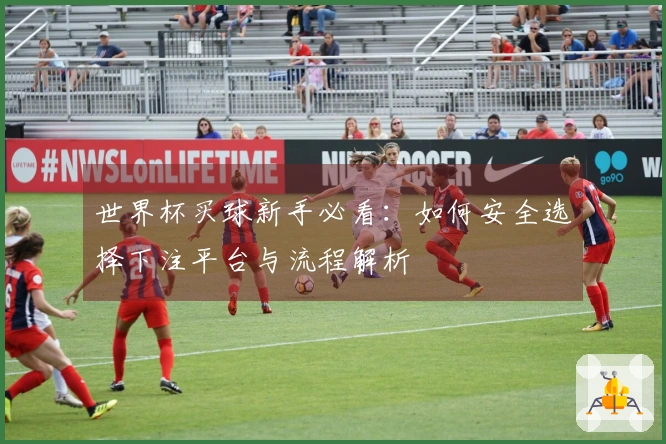 世界杯买球新手必看：如何安全选择下注平台与流程解析