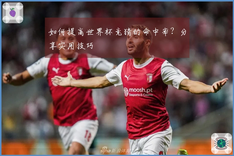 如何提高世界杯竞猜的命中率？分享实用技巧