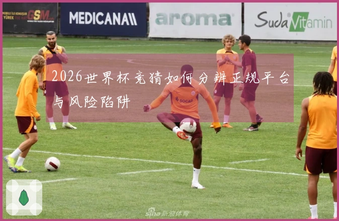 2026世界杯竞猜如何分辨正规平台与风险陷阱