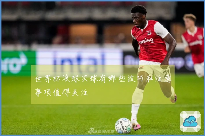 世界杯滚球买球有哪些技巧和注意事项值得关注