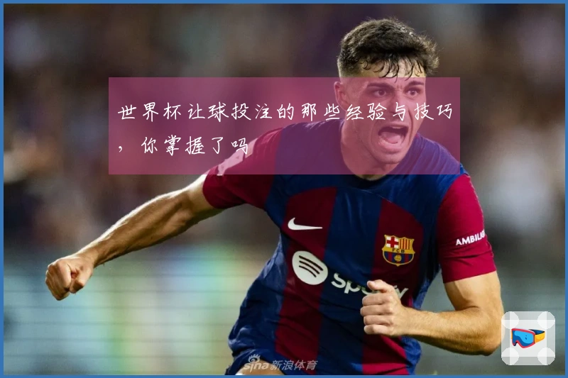 世界杯让球投注的那些经验与技巧，你掌握了吗