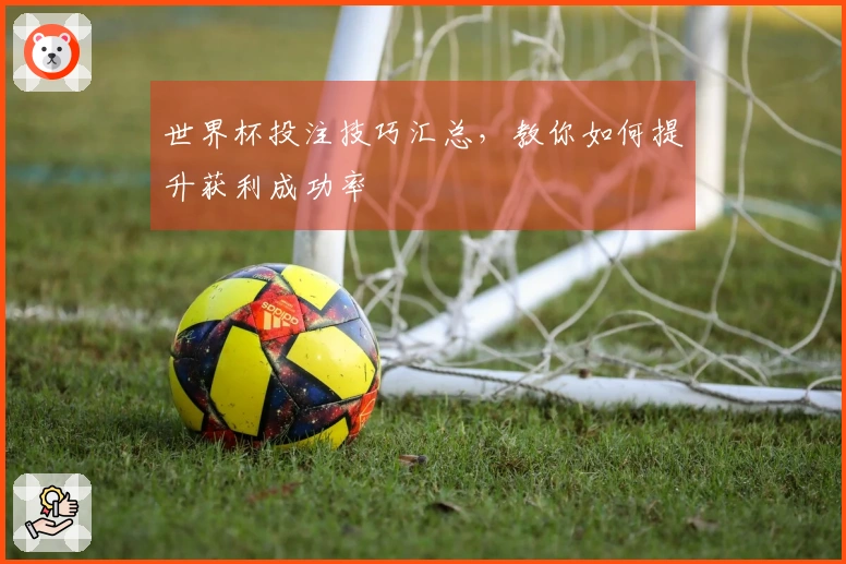 世界杯投注技巧汇总，教你如何提升获利成功率