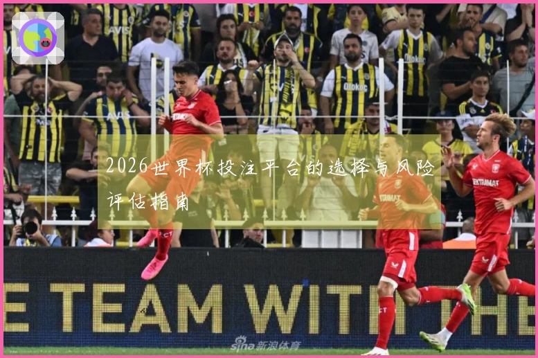 2026世界杯投注平台的选择与风险评估指南